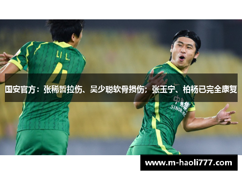 国安官方:张稀哲拉伤、吴少聪软骨损伤;张玉宁、柏杨已完全康复 国安官方:张稀哲拉伤、吴少聪软骨损伤;张玉宁、柏杨已完全康复