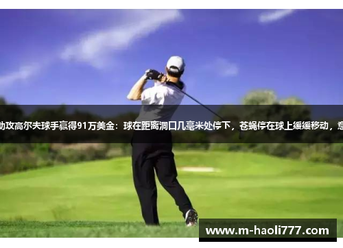 一只苍蝇神助攻高尔夫球手赢得91万美金:球在距离洞口几毫米处停下,苍蝇停在球上缓缓移动,意外推球入洞 一只苍蝇神助攻高尔夫球手赢得91万美金:球在距离洞口几毫米处停下,苍蝇停在球上缓缓移动,意外推球入洞